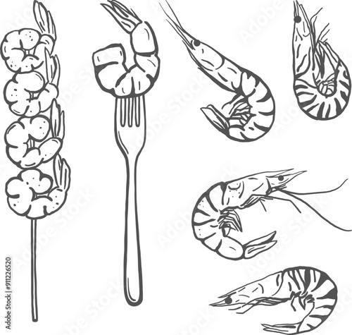 Hand drawn sketch style shrimp set