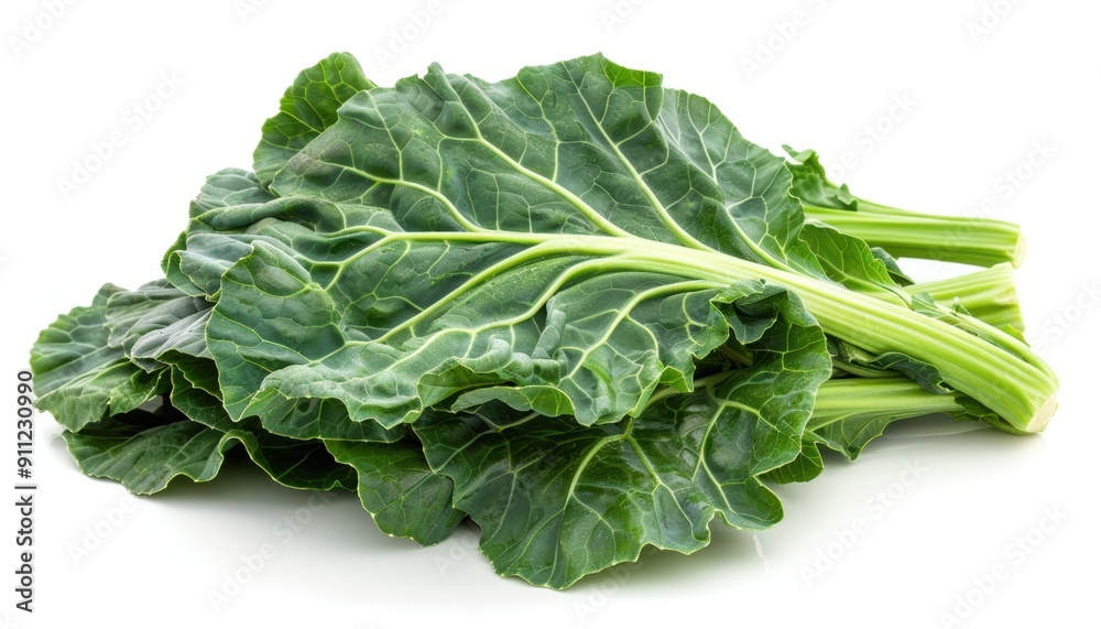 Freshly Harvested Collard Greens Piled on White Background Ready for Cooking Freshly Harvested Collard Greens Piled on White Background Ready for Cooking