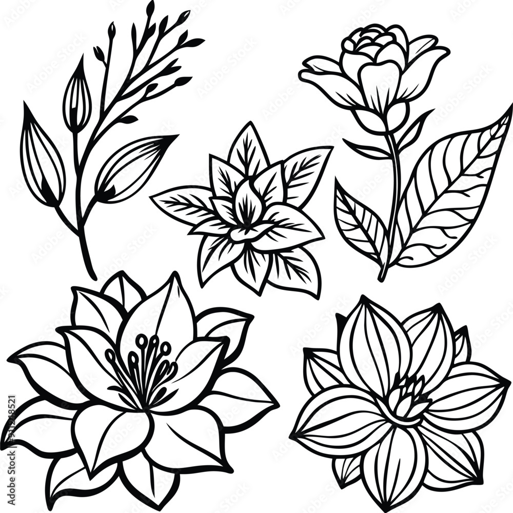 Hand drawn botanical set silhouettes flowers Hand drawn botanical set silhouettes flowers