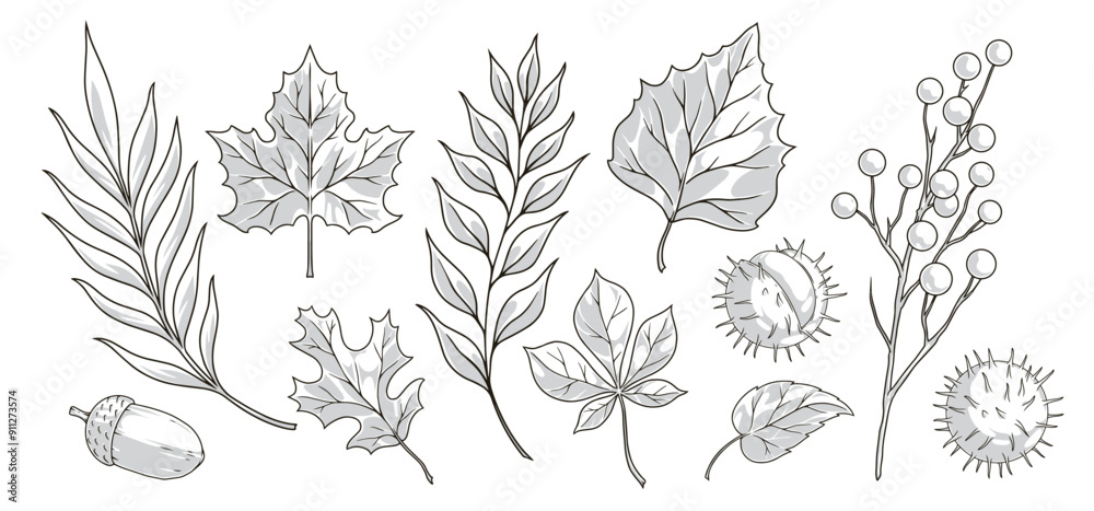 Autumn leaf fall set stickers Autumn leaf fall set stickers