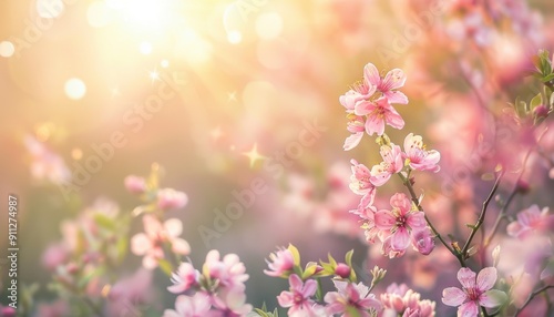 Beautiful Cherry Blossom Blooms Under Warm Sunlight in a Spring Garden