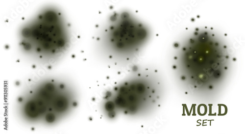 Set Black mold. Fungus, the wall of an apartment, a house, poisonous spores. Toxic health effects. Spot in the center on a light background. Vector realistic illustration.
