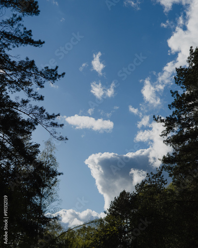 Blue Sky with Fluffy Clouds