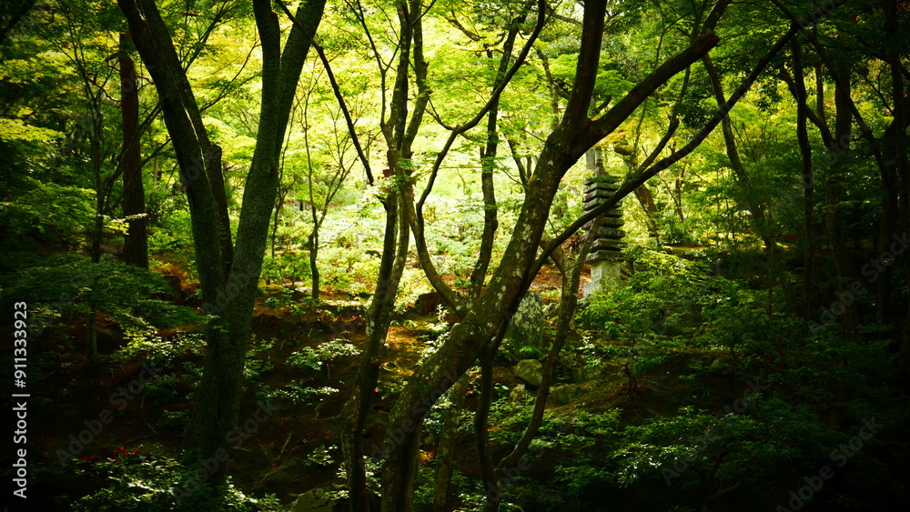 A beautiful Japanese garden near Kyoto (Japan) A beautiful Japanese garden near Kyoto (Japan)