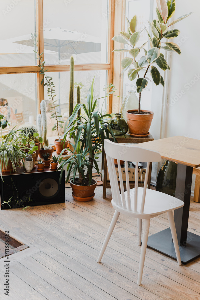 Bright Cafe Interior with Indoor Plants Bright Cafe Interior with Indoor Plants