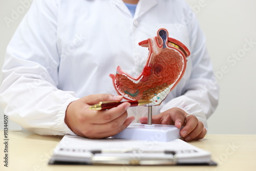 The stomach is a muscular, hollow organ in the digestive system that breaks down food using acids and enzymes, preparing nutrients for absorption in the intestines.