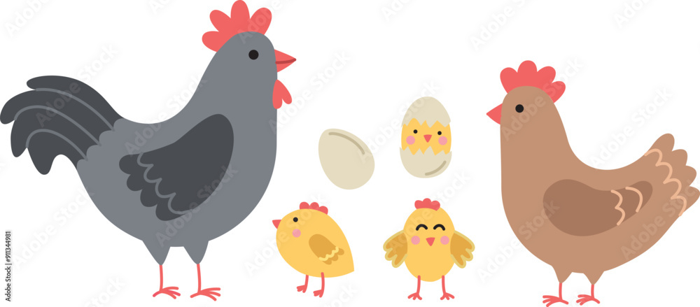 Vector illustration of a family of chickens. Set of domestic birds in flat style Vector illustration of a family of chickens. Set of domestic birds in flat style