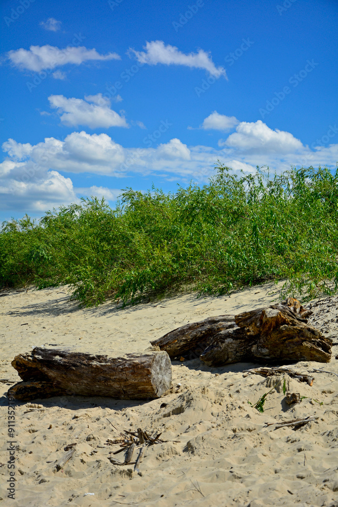 kłody drewna na plaży na tle morza, drewniane klody na piaszczystej wydmie nadmorskiej, malowniczy pejzaż nadmorski, logs on the sand on the sea shore, beach scene, wooden logs on a sandy seaside dune