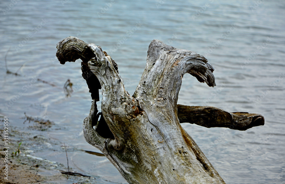 drewno na plaży na tle morza, kawałek drwena na plaży, malowniczy pejzaż nadmorski, log on the sand on the sea shore, beach scene with a large log and sand