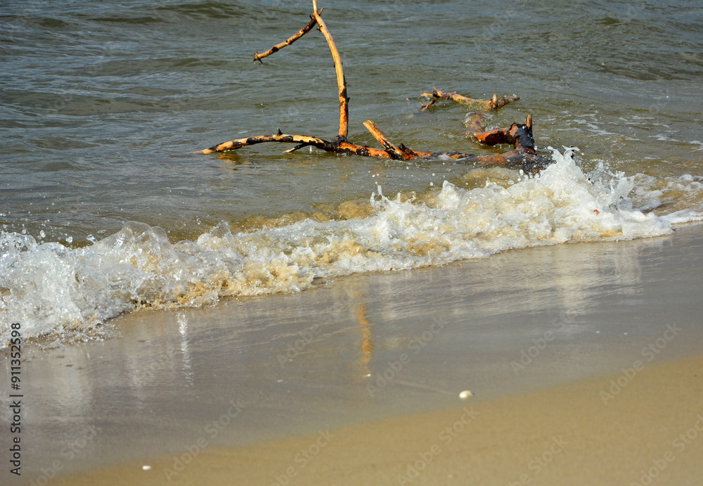 drewno na plaży na tle morza, kawałek drwena na plaży, malowniczy pejzaż nadmorski, log on the sand on the sea shore, beach scene with a large log and sand