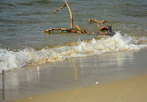 drewno na plaży na tle morza, kawałek drwena na plaży, malowniczy pejzaż nadmorski, log on the sand on the sea shore, beach scene with a large log and sand
