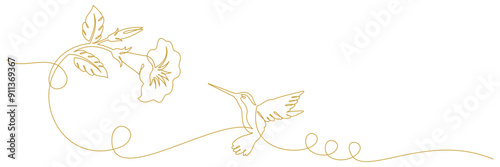 hummingbird continuous line 