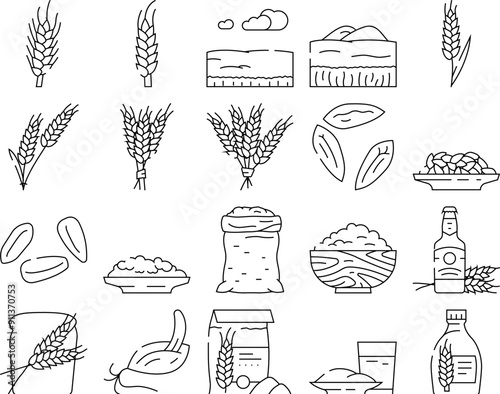 barley grain wheat icons set vector. rye cereal, ear plant, harvest seed, food farm, agriculture bread, crop, oat barley grain wheat black contour illustrations
