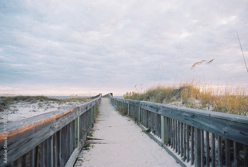 Fototapeta premium boardwalk in the dunes