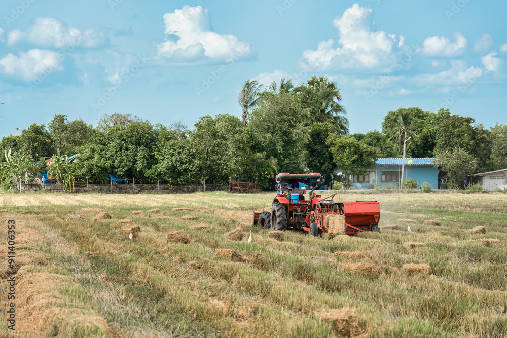 Fototapeta premium Tractor working on rice filed during harvest season in farmland