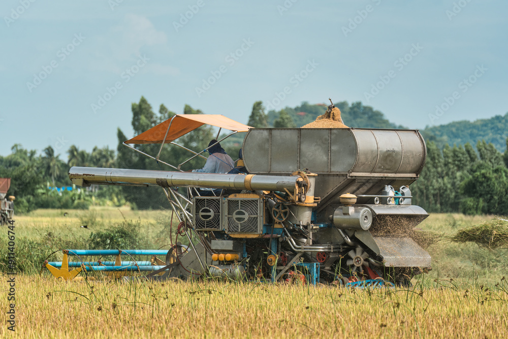 Obraz premium Farmer using combine harvester working the rice in farmland