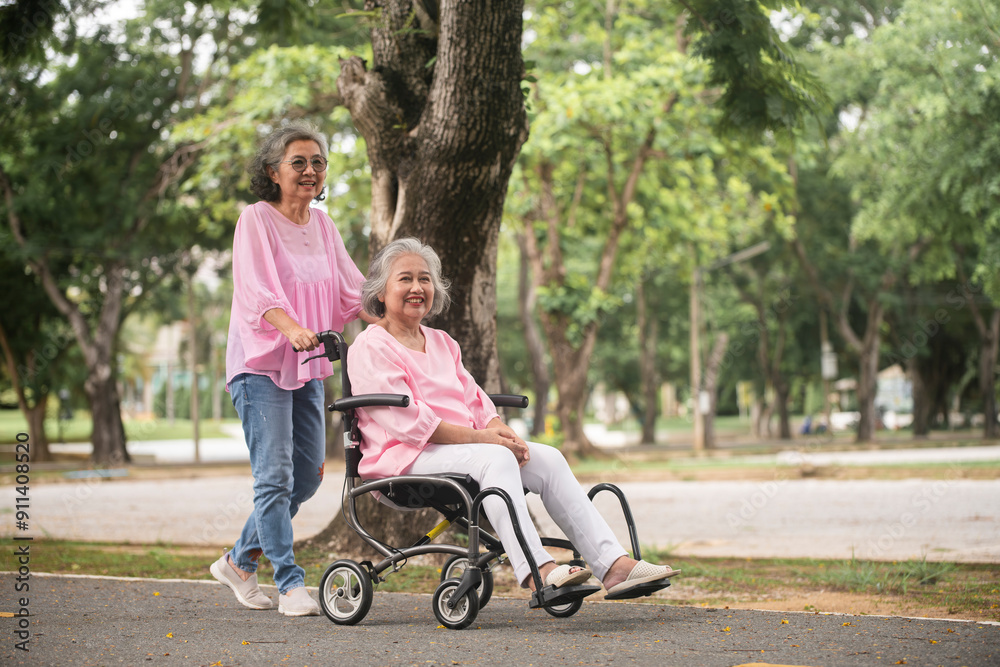 Two elderly women, one sitting in a wheelchair, enjoying time together in a park, surrounded by green trees and a serene environment. Two elderly women, one sitting in a wheelchair, enjoying time together in a park, surrounded by green trees and a serene environment.
