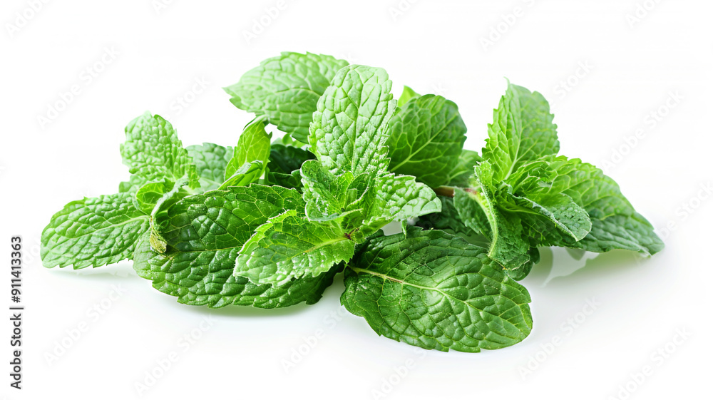 Fresh mint leaves against clear white background	