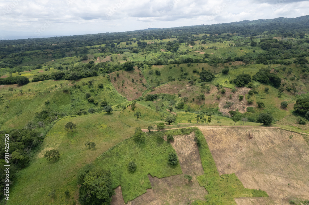 Green meadows on hills for agriculture Green meadows on hills for agriculture