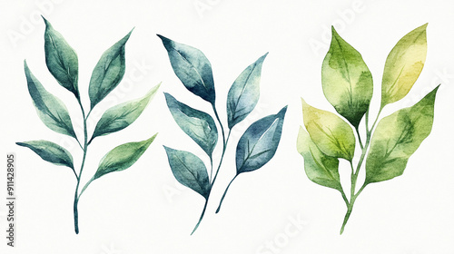 Hand-painted watercolor leaves with shading Water color on white background