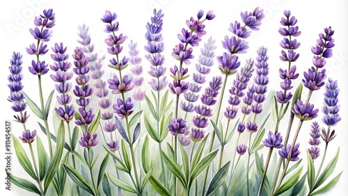 Whispers of Lavender: A Vintage Watercolor Botanical Illustration of Lavender Blossoms  AI Generated photo