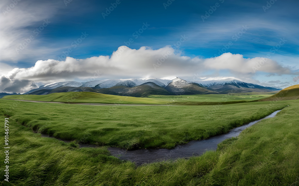 Fototapeta premium Panoramic natural landscape with green grass field, blue sky with clouds and mountains in background