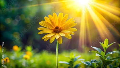 A Single Sunbeam: A Delicate Yellow Daisy in a Morning Garden  Generative AI photo