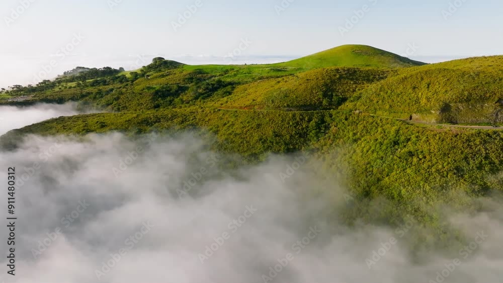 Aerial drone shot of scenic forest and hills with road above clouds. Fanal mountain, Madeira island, Portugal. Push in dolly approach move Aerial drone shot of scenic forest and hills with road above clouds. Fanal mountain, Madeira island, Portugal. Push in dolly approach move