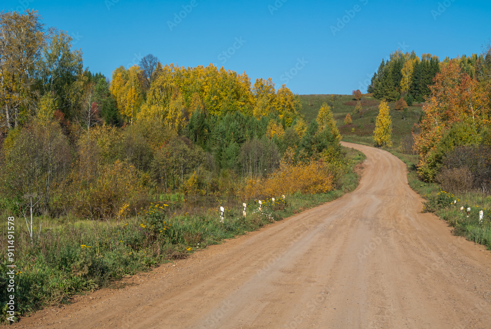 Fototapeta premium Rural dirt road in autumn. In autumn, trees with yellowed leaves grow along the country road. Trees with yellow leaves and a blue sky. Traveling by car in rural areas.