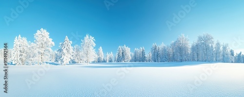 Serene winter landscape featuring a blanket of snow and frost-covered trees under a clear blue sky.