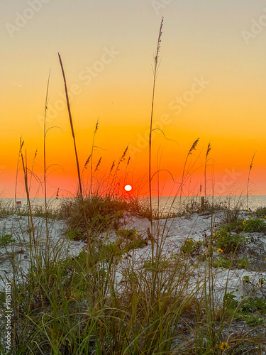 beautiful sunset in st. pete beach  photo