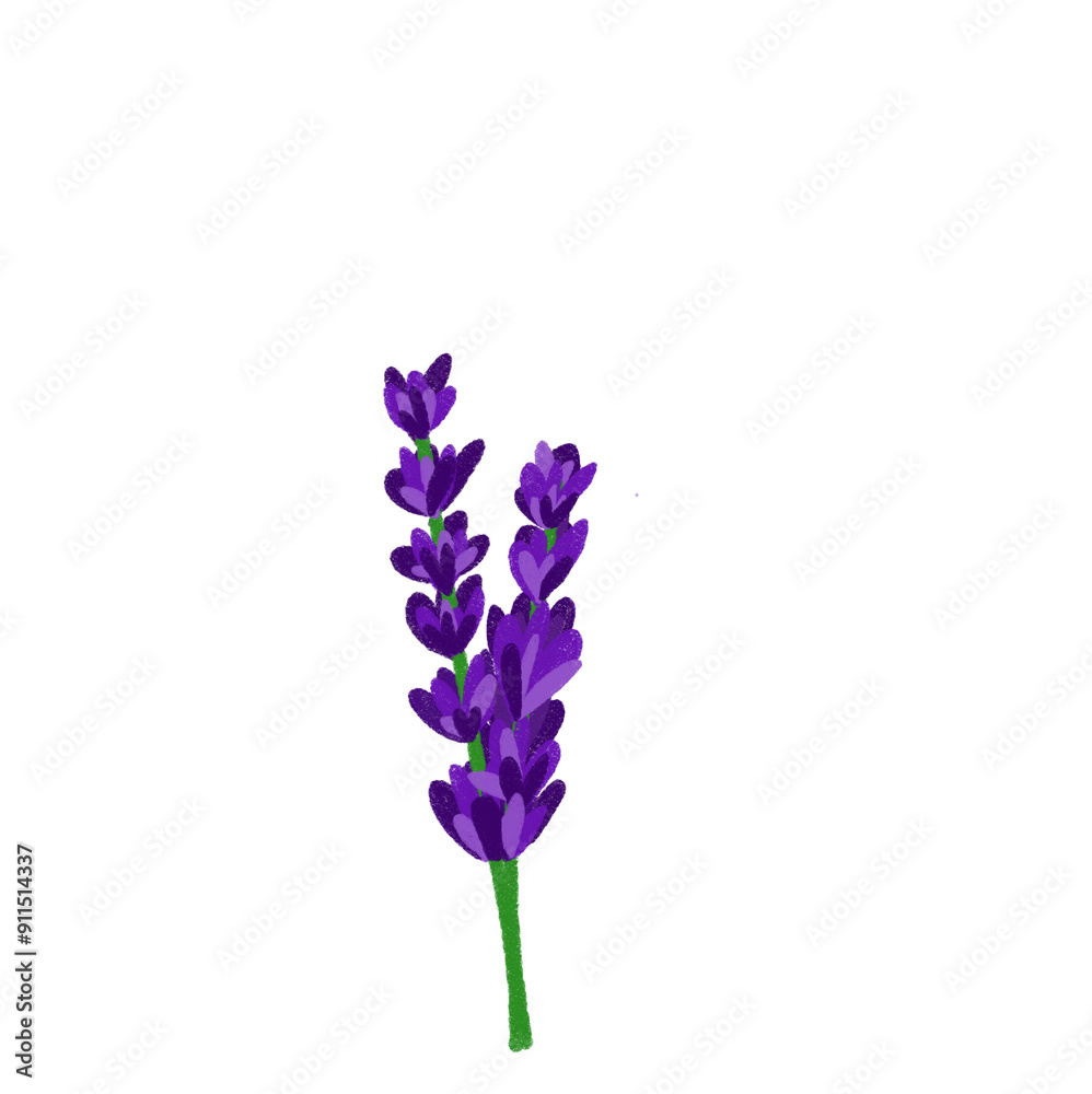 Lavender Lavender