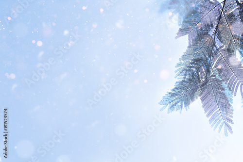 Christmas Holidays Background with copy space. Bright Christmas background with fir branches with lights bokeh. Soft focus