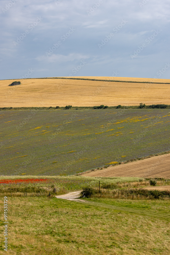 Fototapeta premium A rural Sussex farm landscape on a sunny summer's day