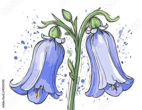 Blooming bluebell colored isolated doodle sketch
