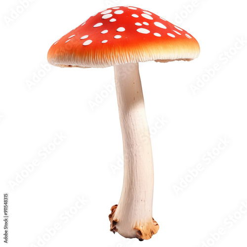 A red and white mushroom with white spots on it. Isolated on transparent background photo