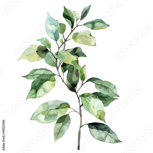 Watercolor vector of Eleuthero leaf, isolated on a white background, Eleuthero leaf vector