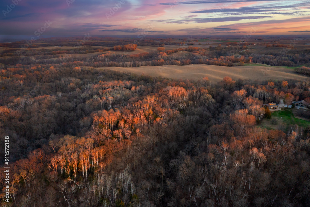 Springtime Forest and Dramatic Sky