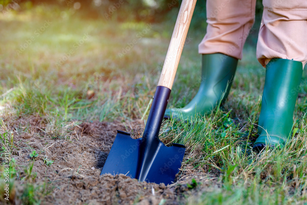 Female legs in green rubber boots and digging with a spade. Autumn work and cleaning in the garden on a sunny warm autumn day. Female legs in green rubber boots and digging with a spade. Autumn work and cleaning in the garden on a sunny warm autumn day.