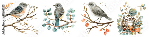 Set collection of watercolor Cuckoo Sparrow wood tree branches bird nest design resources elements