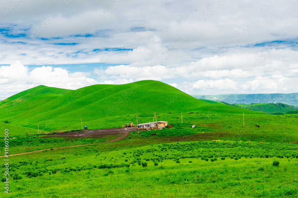 Obraz premium Picturesque green hills in cloudy weather. Caucasus
