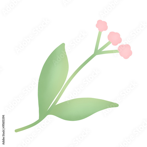 pink tulip isolated on white background