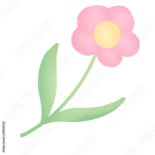 pink flower isolated on white background
