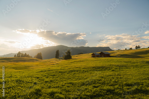 Scenic view of sunny meadow in Dolomites at sunset a