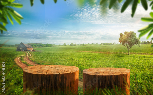 Tree trunk wood  two Podiums as a tables display for food and other products on nature background, farm with grass and Sunlight at morning	
