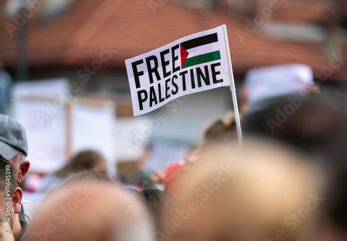 An anonymous crowd holding Palestinian flags photo