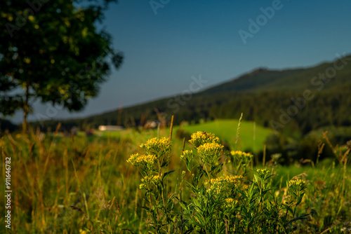 Green meadow with hills and fresh forests near Ramzova village photo