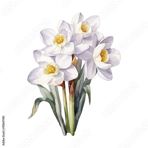 watercolor white flowers of spring season vector ilustration, white background