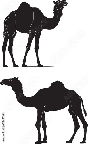Camel in desert illustration Silhouette Vector