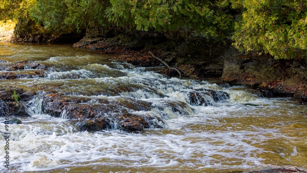 River flowing through the forest River flowing through the forest